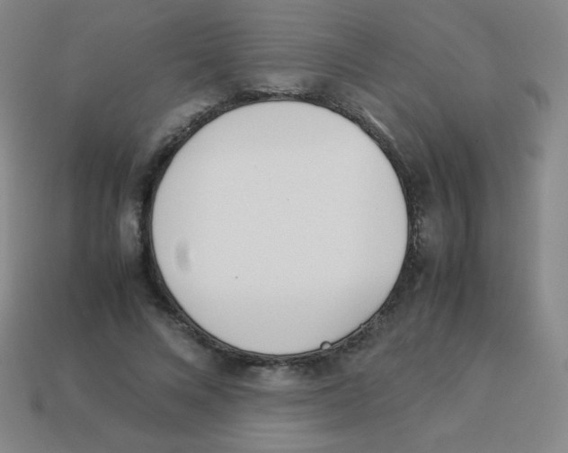 X0000113890688200910221417