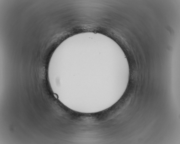 X0000113890689200910221417
