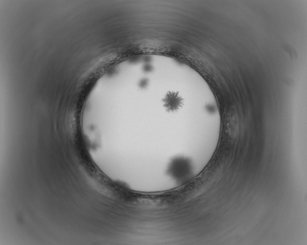 X0000113890690200910221417