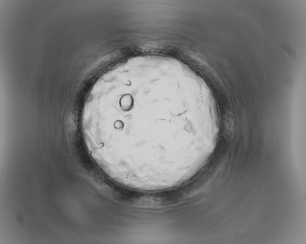 X0000113890691200910221417