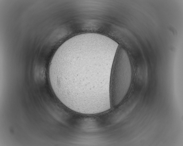 X0000113890692200910221417