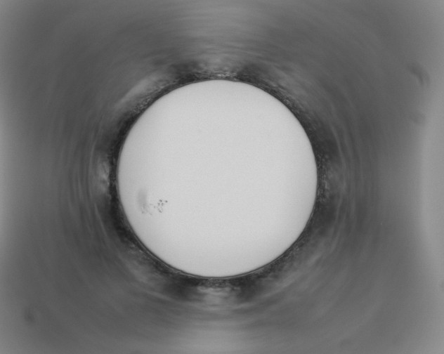 X0000113890693200910221417