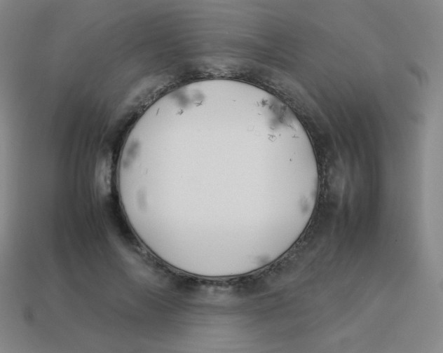 X0000113890694200910221417