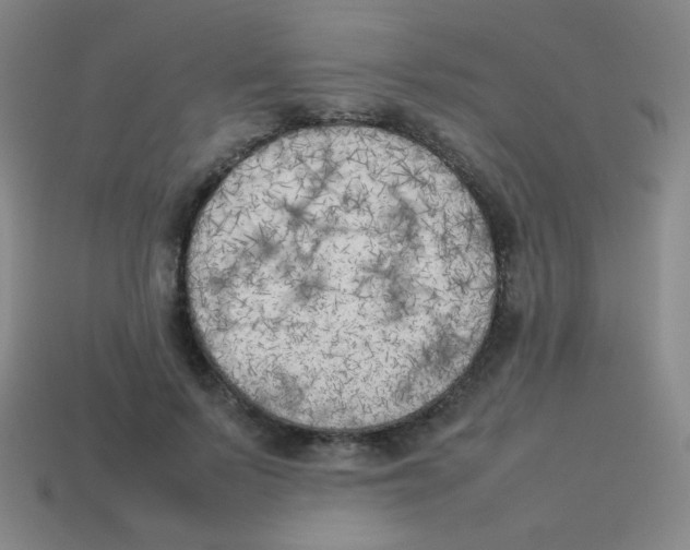X0000113890695200910221417