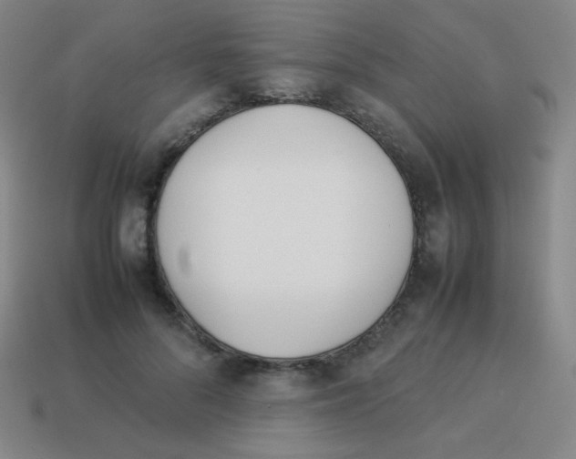 X0000113890696200910221417