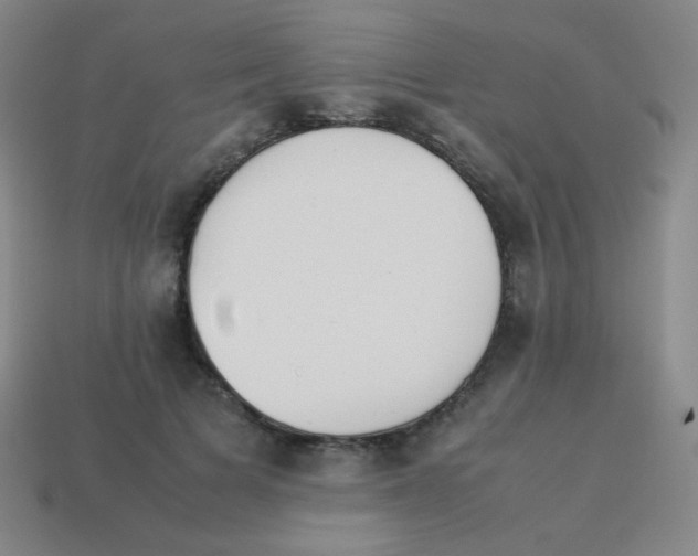X0000113890697200910221417