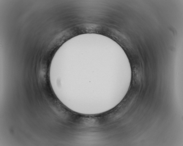 X0000113890698200910221417