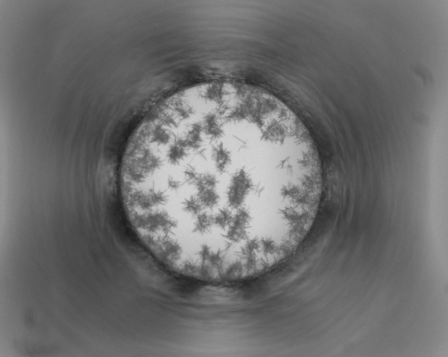 X0000113890699200910221417