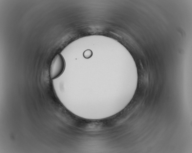 X0000113890700200910221417