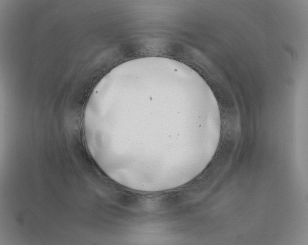 X0000113890701200910221417