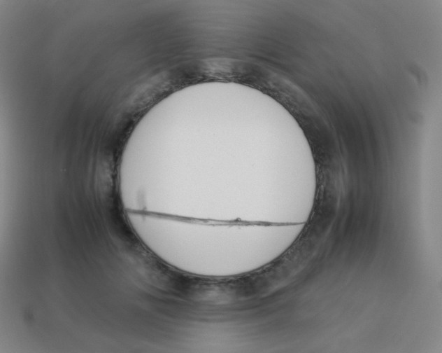 X0000113890702200910221417