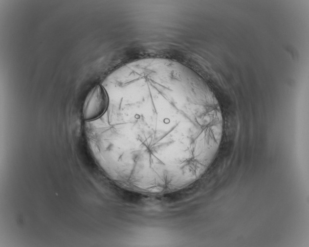 X0000113890703200910221417