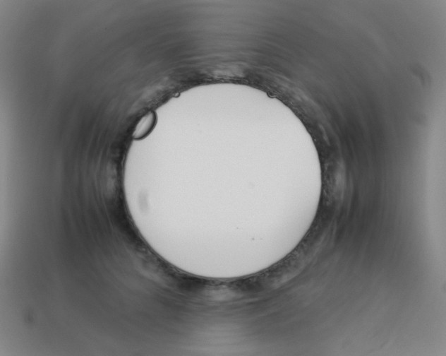 X0000113890704200910221417