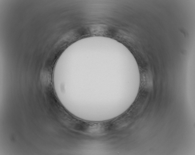 X0000113890705200910221417