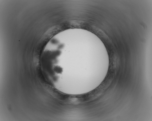 X0000113890706200910221417