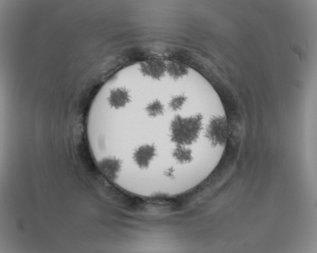 X0000113890707200910221417