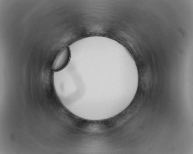 X0000113890708200910221417