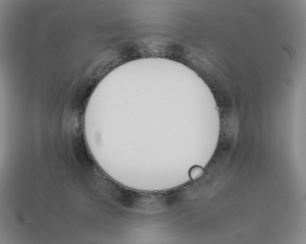 X0000113890709200910221417