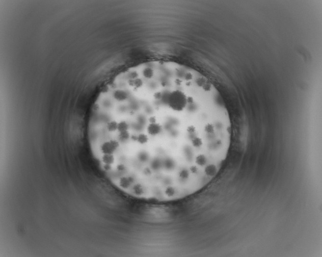 X0000113890710200910221417