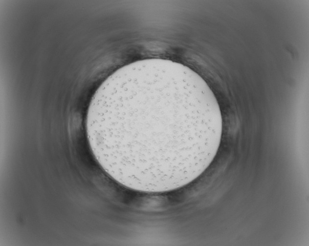 X0000113890711200910221417