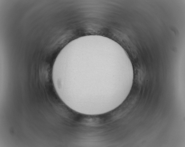 X0000113890712200910221417
