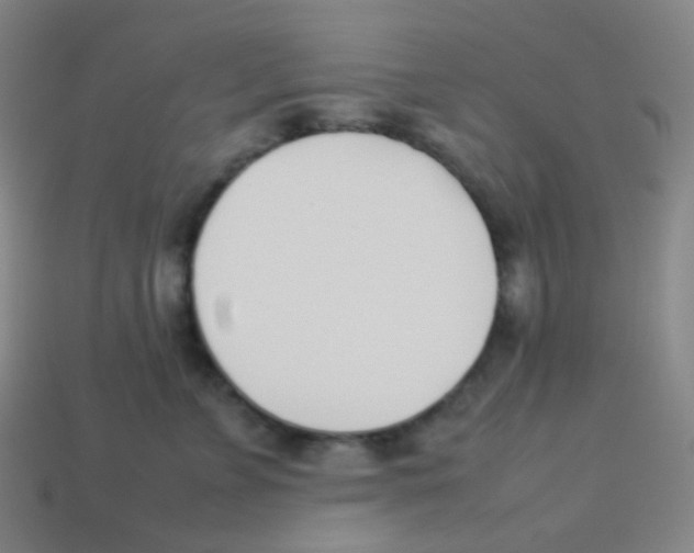 X0000113890715200910221417
