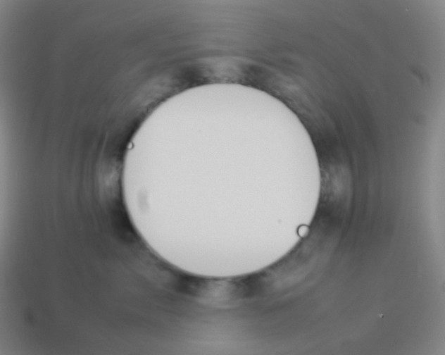 X0000113890717200910221417