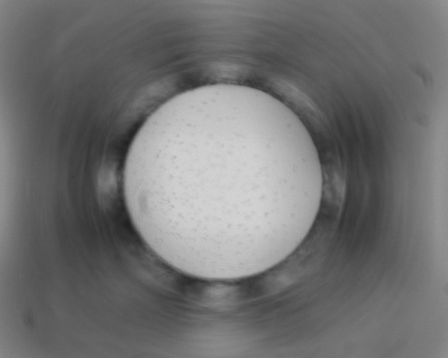 X0000113890718200910221417