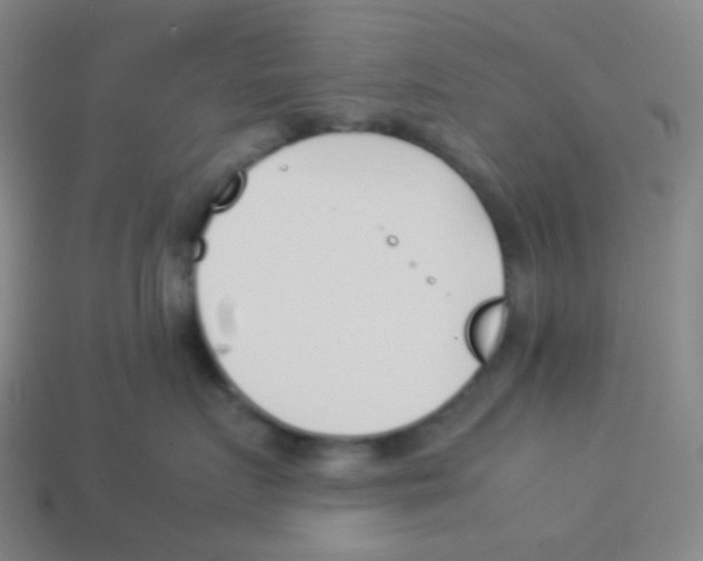 X0000113890719200910221417