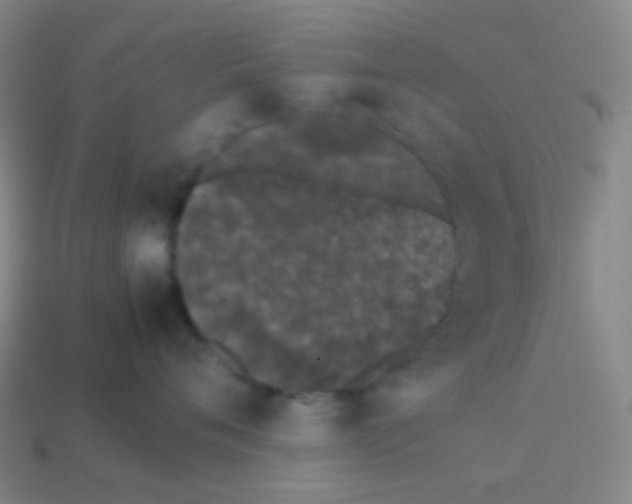 X0000113890720200910221417