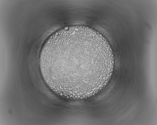 X0000113890721200910221416