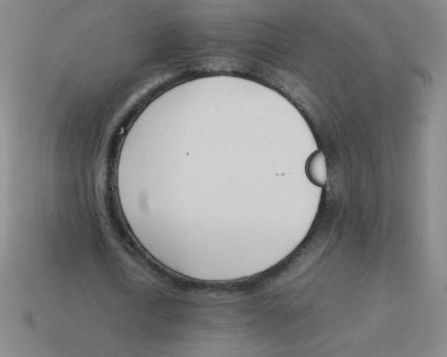 X0000113890722200910221416
