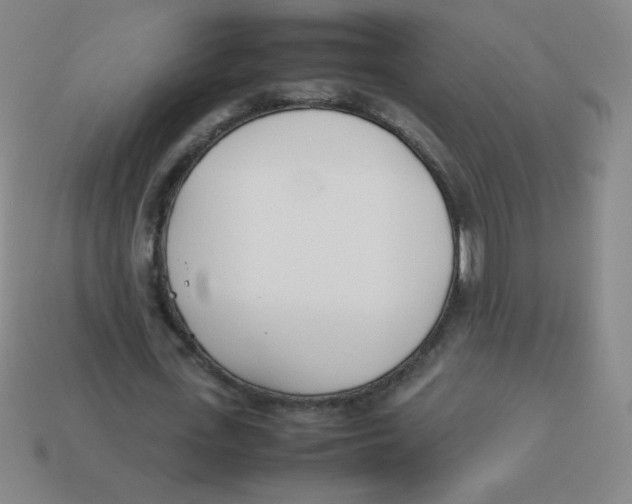 X0000113890723200910221416