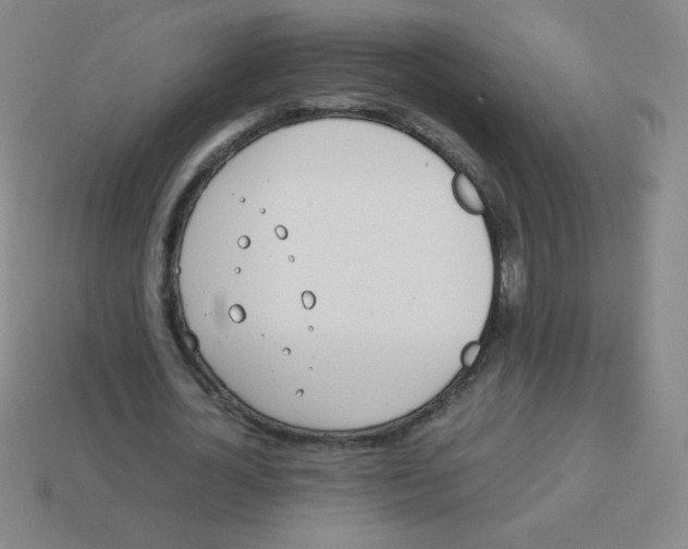 X0000113890724200910221416