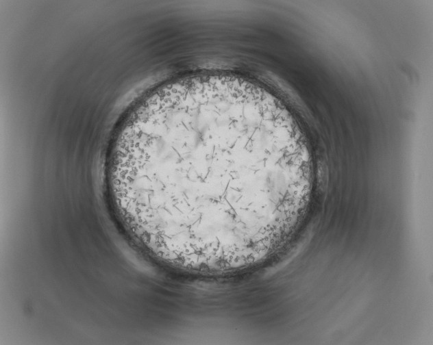 X0000113890725200910221416
