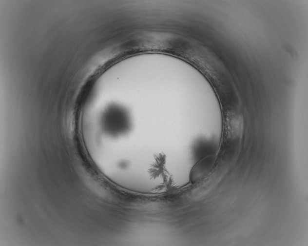 X0000113890726200910221416