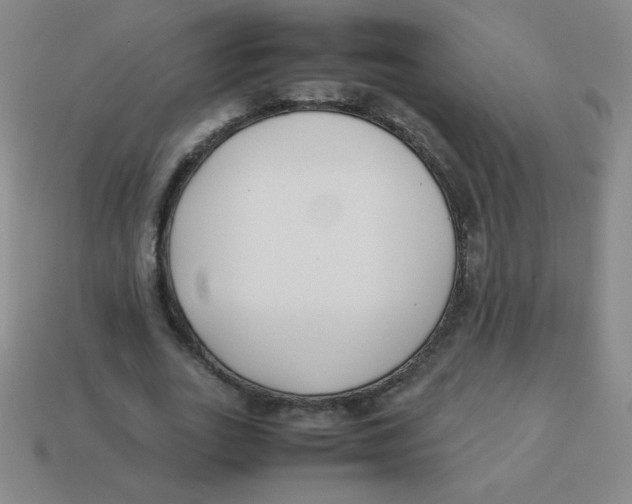 X0000113890727200910221416