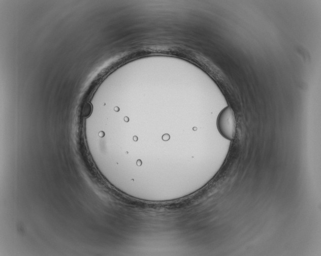 X0000113890728200910221416