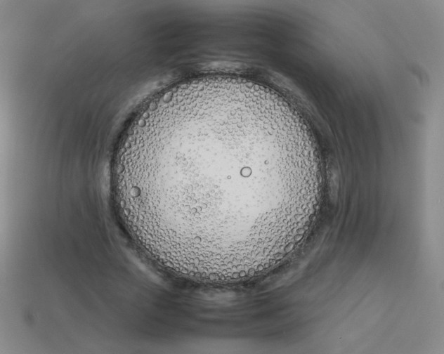 X0000113890729200910221416