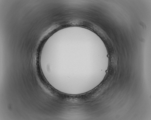 X0000113890730200910221416