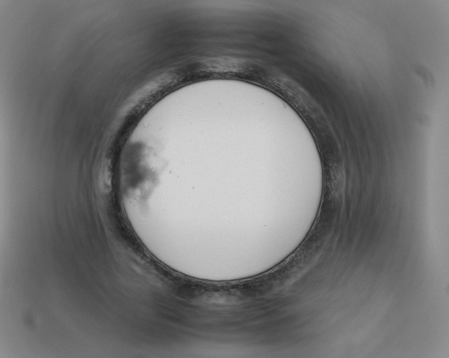 X0000113890731200910221416