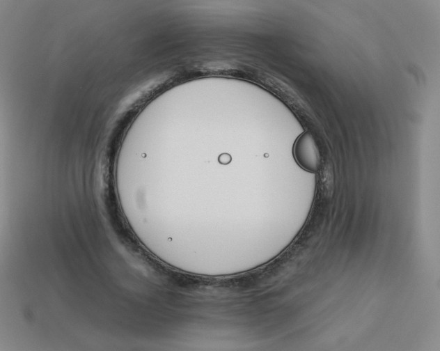 X0000113890732200910221416