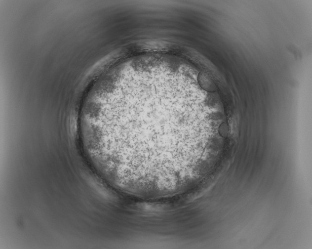 X0000113890733200910221416