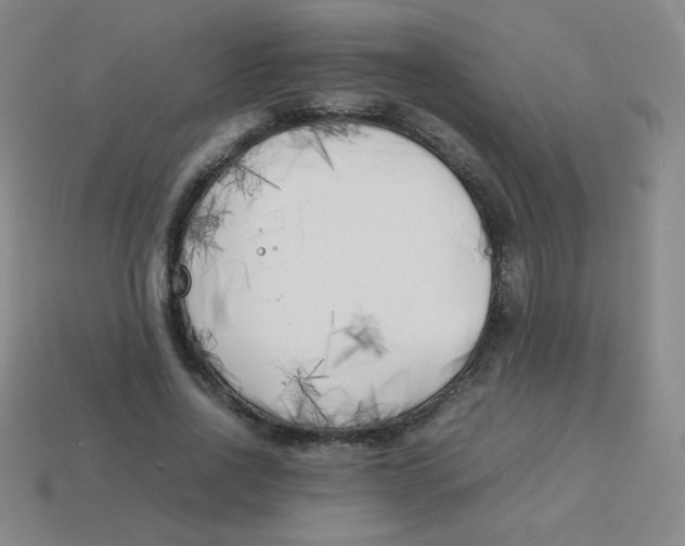 X0000113890734200910221416