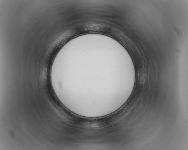 X0000113890735200910221416