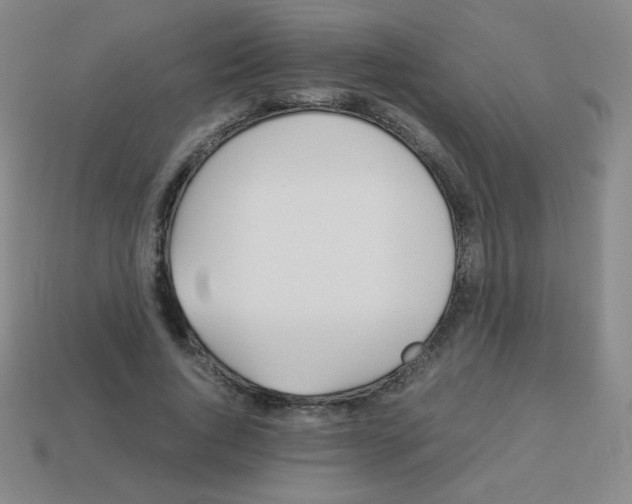 X0000113890736200910221416
