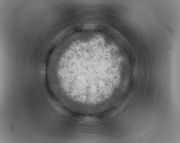 X0000113890737200910221416