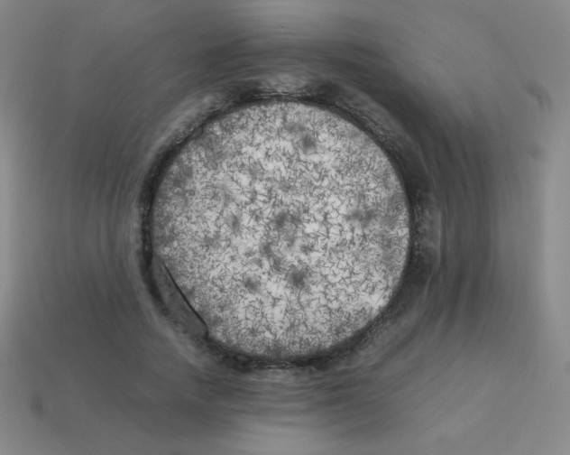 X0000113890738200910221416