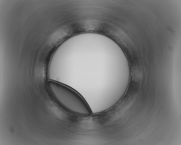 X0000113890740200910221416
