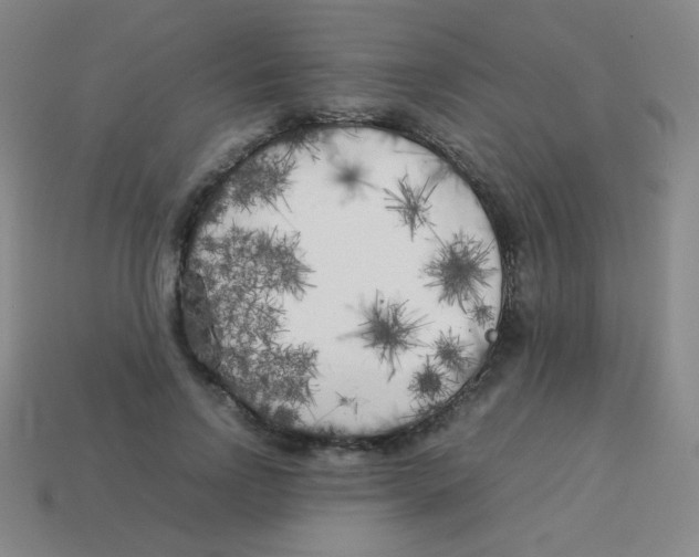 X0000113890742200910221416